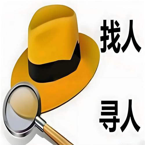寻人找车